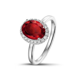 Halo ring in white gold with an oval ruby