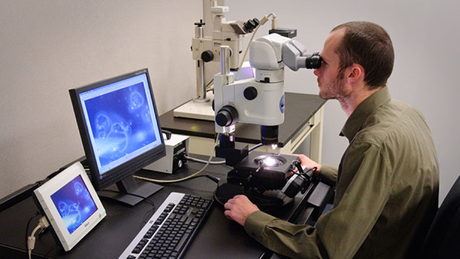 Photo-microscopes are used to photograph gems for your diamond chain, enlarged up to a hundred times - BAUNAT.